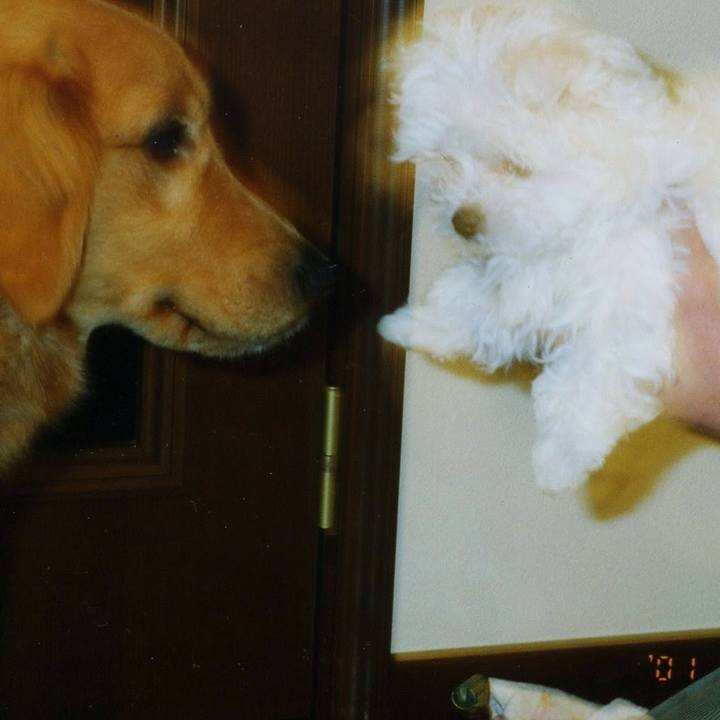 D1dca915 9343 485d 93b2 1378a9c3acff 1515990544193