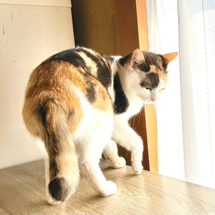 D1dcbb54 de59 4daf 94fb 565b384d4d3f 1700446573293