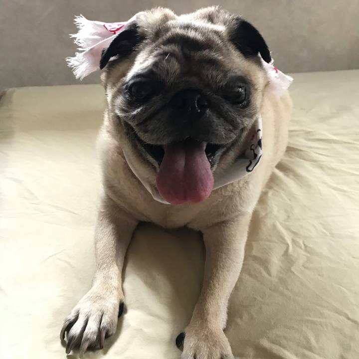 D1dcd9b4 8ba0 42bf a662 c17e40a04b19 1532741141516