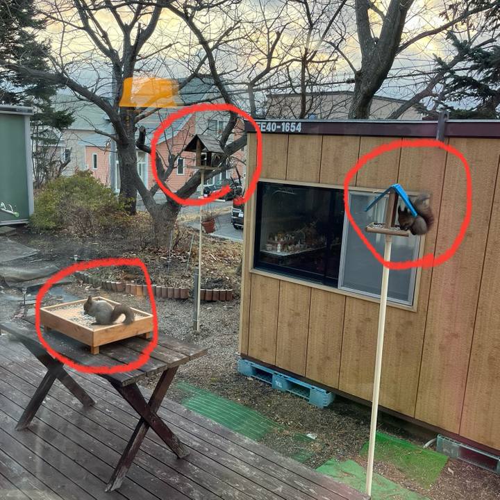 D1dce0bc 6c06 4ba1 be25 17c8825abb0a 1764367886429