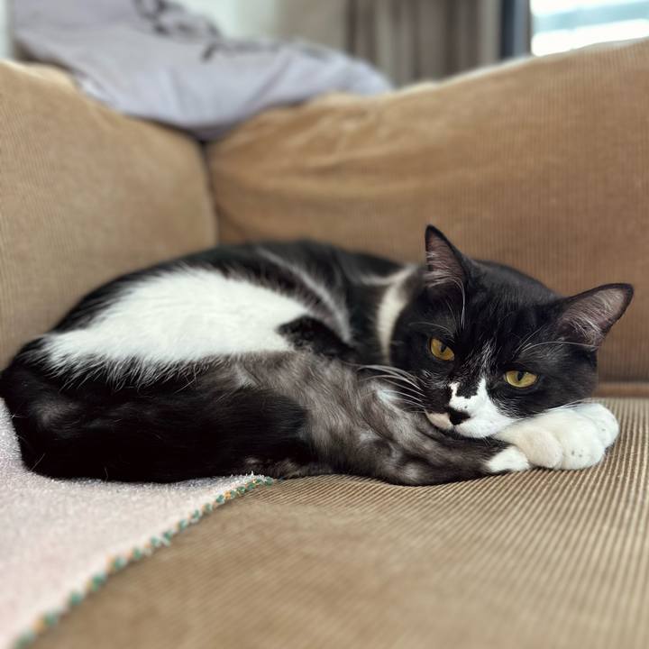 D1dd5273 8385 496b 936e 0524390fd417 1774682913606