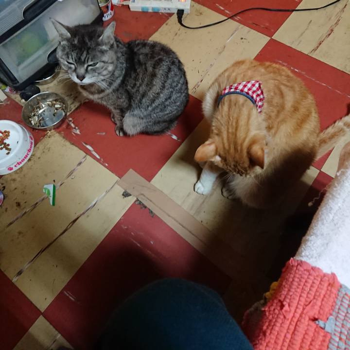 D1dd587c 4a8d 4382 974b bb2ff3a17af4 1558644275169