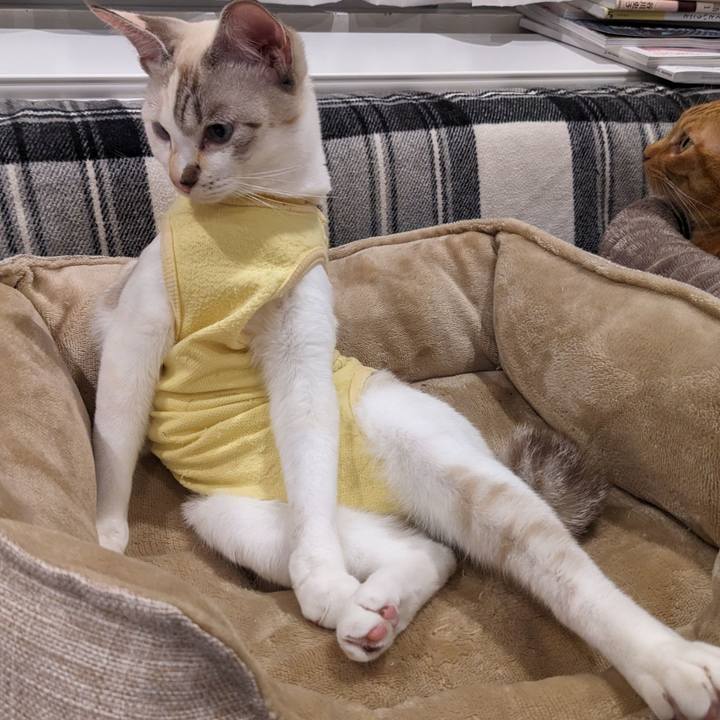 D1dd7a1b 389a 482a b5df 93f3e691346a 1701693260947