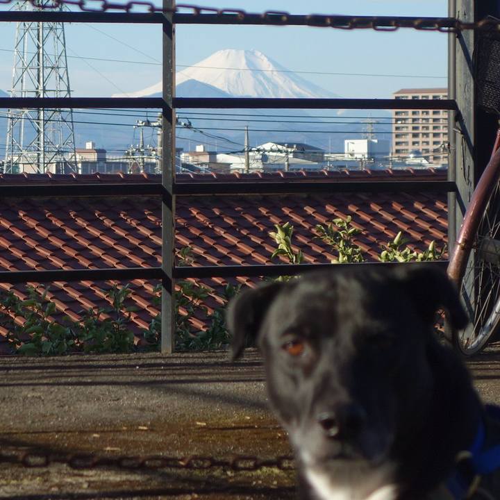 D1dda5d1 d547 4bd8 a195 f0e688595712 1641172455485