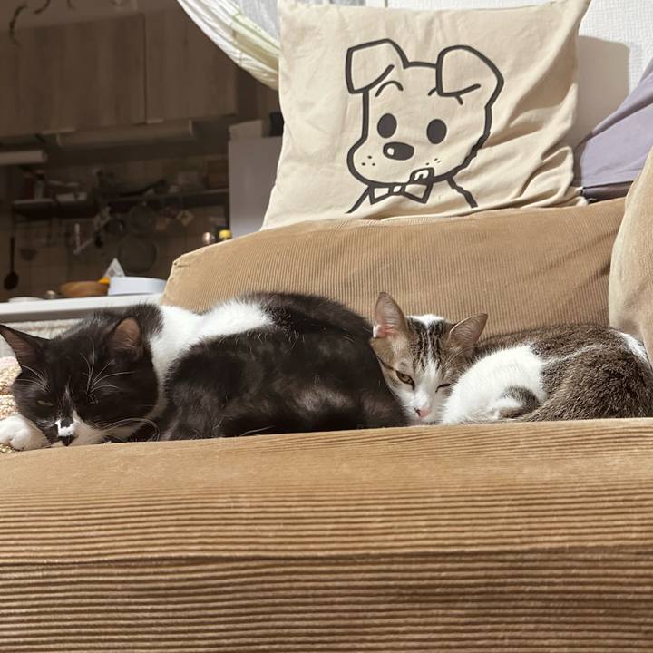 D1ddc1b4 0af3 4225 a172 a828c2ac2372 1763888002283