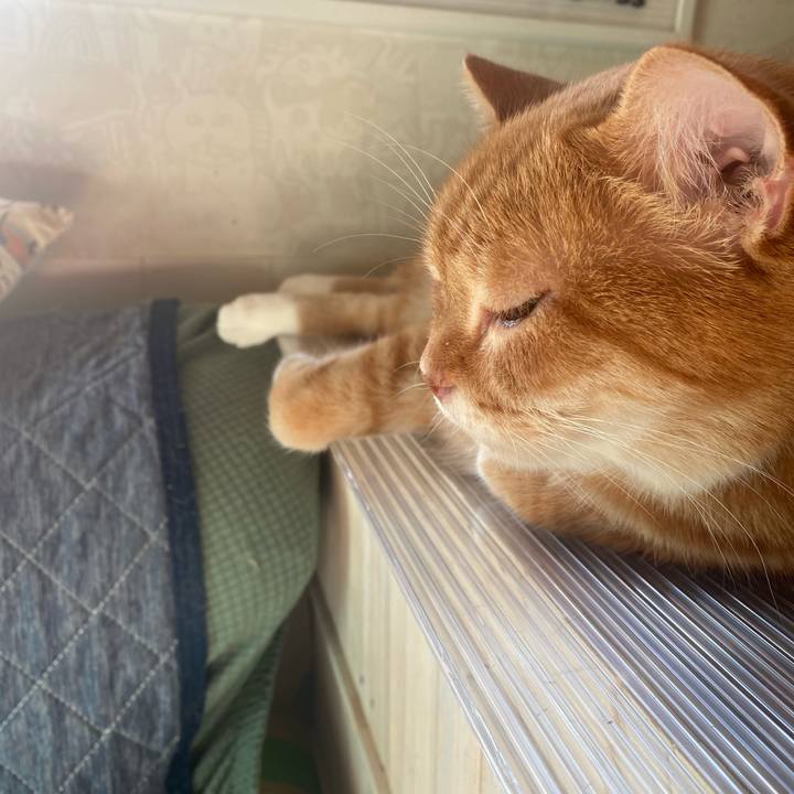 D1ddd92f 0222 4e99 874e 2f14a9d33f92 1637719229849