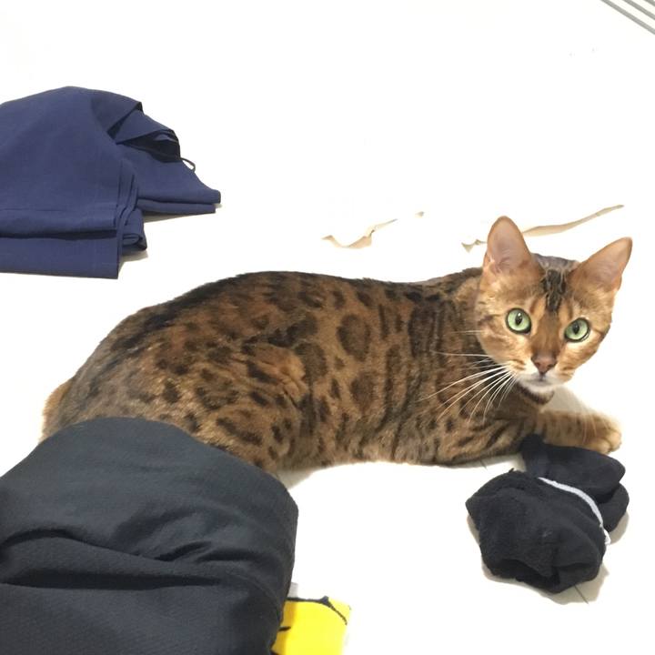 D1dde84d 6091 410f 99d4 50db34acc1a7 1535115417801