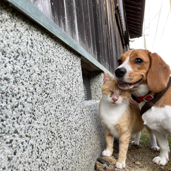 D1ddf47d c19f 4fee a4b1 4da1d74df9c0 1660559602343