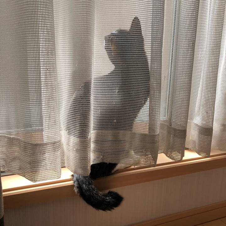 D1ddf681 f434 4554 9cc8 5bb94ff23169 1520392408946