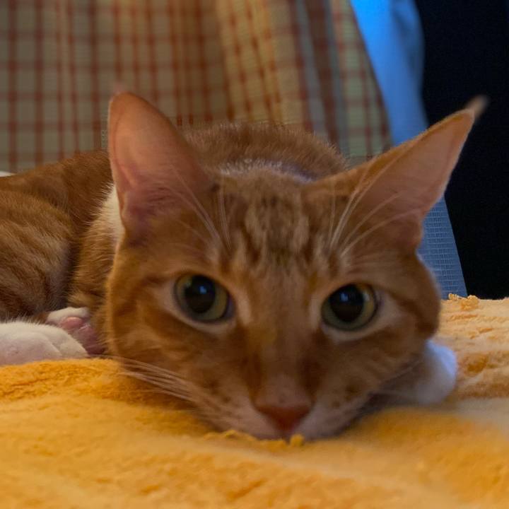 D1de3927 a141 41f7 b42c 083cb3884b85 1697282443340