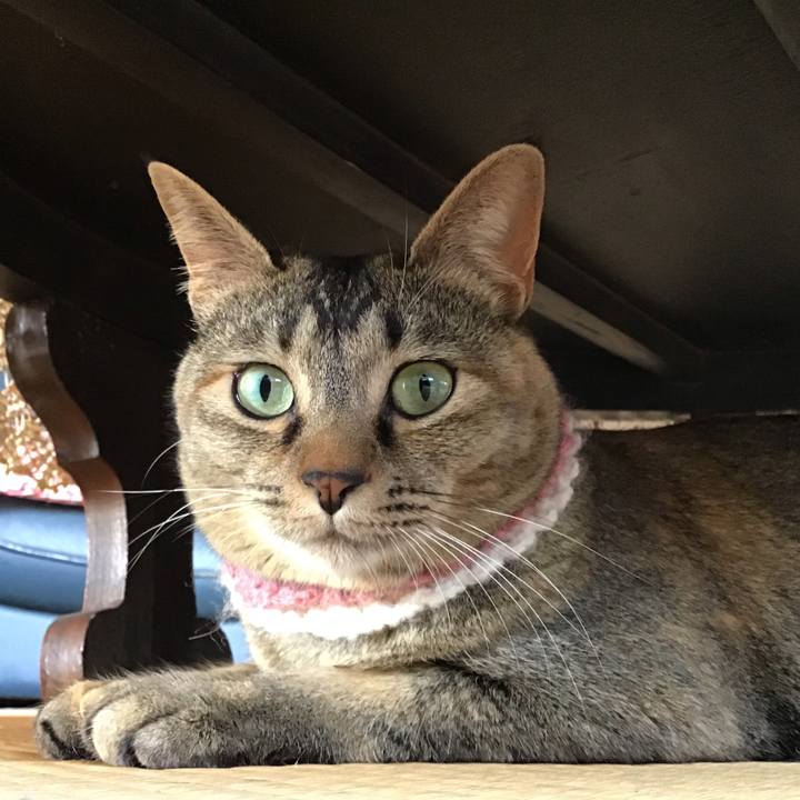 D1de4a21 43c5 4ab0 9514 bbcd8c80e249 1618379115939