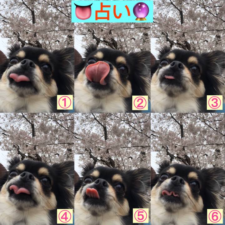 D1de59aa a9d4 422a 928a aa3cf127c849 1586002749786