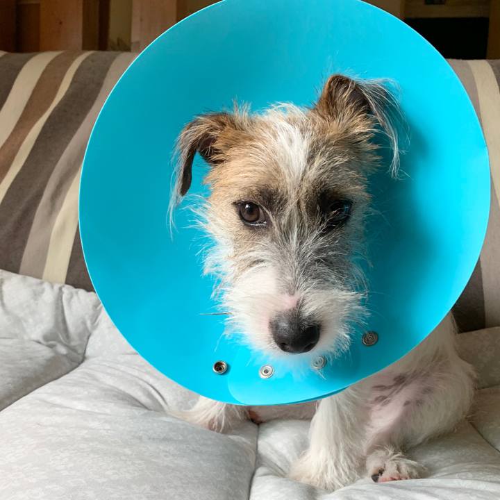 D1de8a0e 3b59 4307 b29e 2185716d5a98 1569553575189