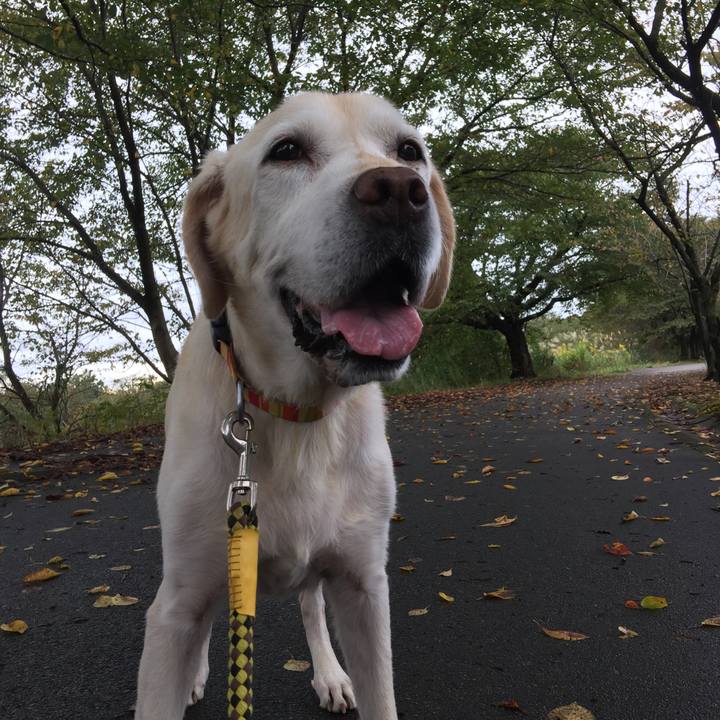 D1def00c e034 484e baf4 77efffa9a571 1597048717981