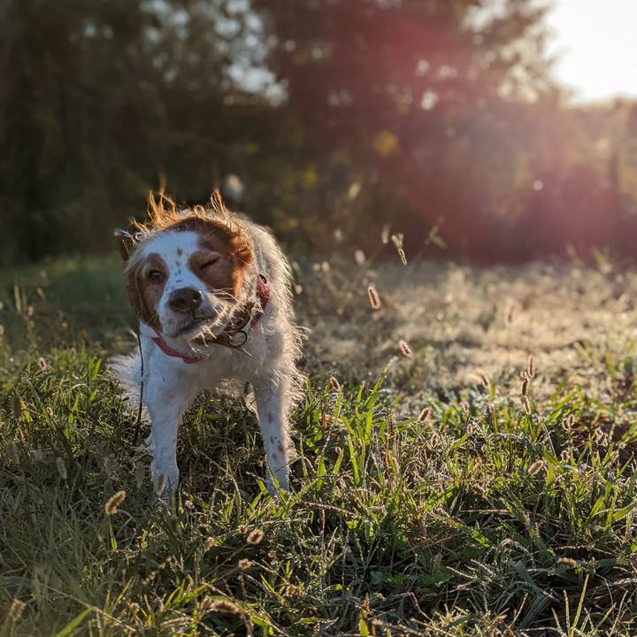 D1df093f 0309 4c1f 98fd 80a255081040 1665195181601