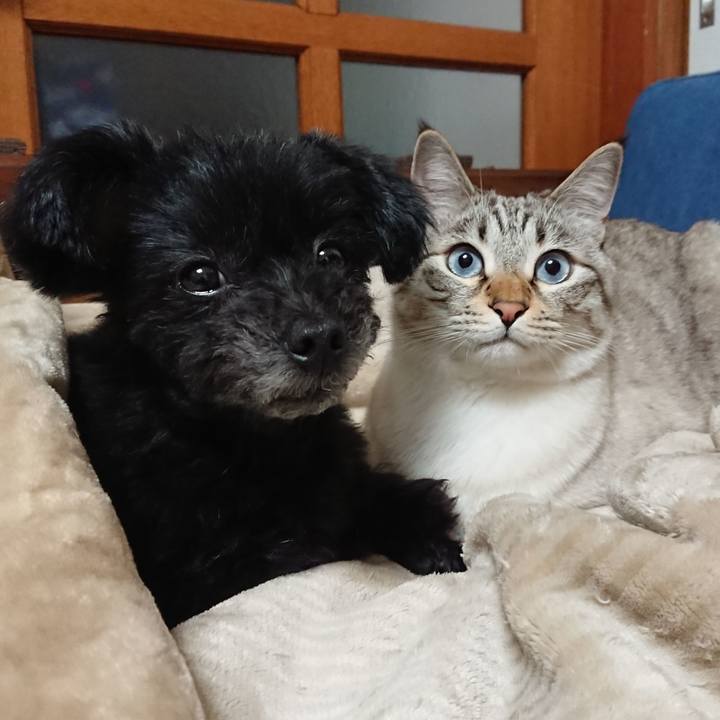 D1df1947 954b 413f 895c c5431986cf02 1550494044836