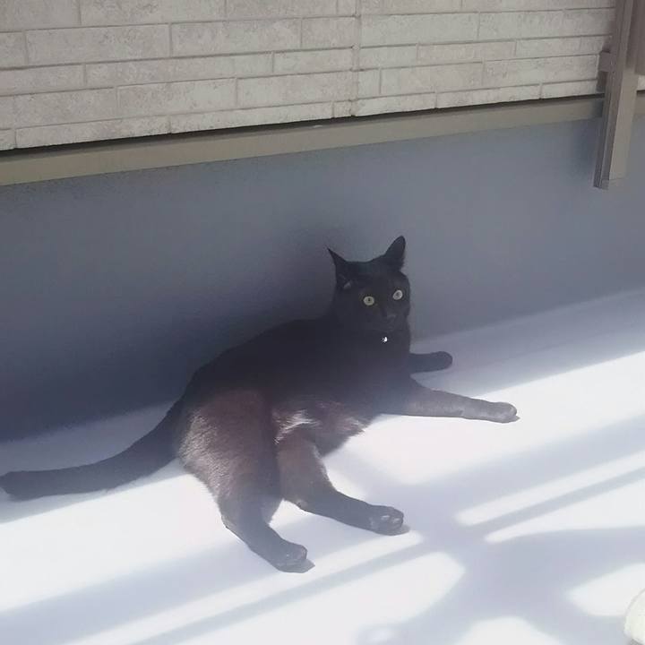 D1df2654 6ea0 458c 821b 5c75d2863b2c 1524974176309