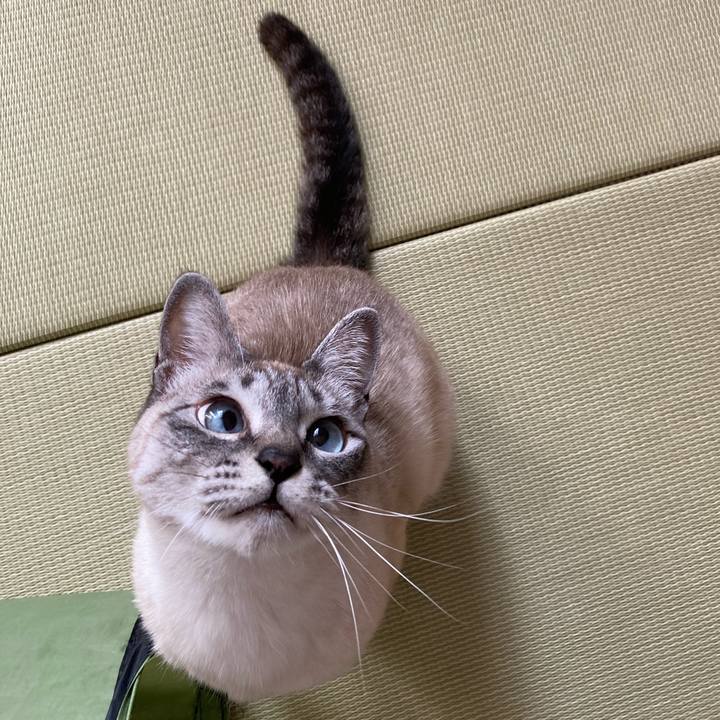 D1df2ed0 81c6 4702 9ce3 148263a44afd 1647129271918