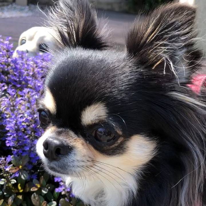 D1df4c33 2a0a 4fca 9f78 5897afc1357c 1588212044114