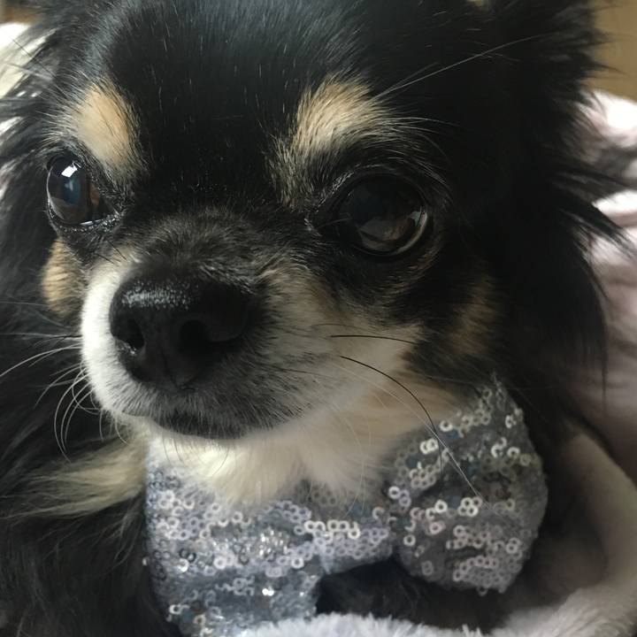 D1df5389 489b 4fea 9ffe 679c69e1e7c6 1507687246257