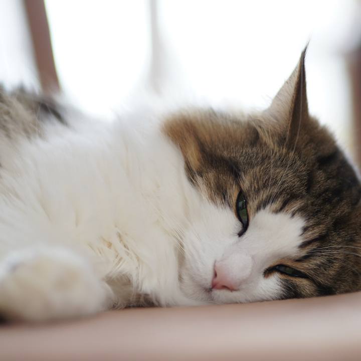 D1df6c3b ddc7 4907 b56c 9e7228e8cab5 1545873998090