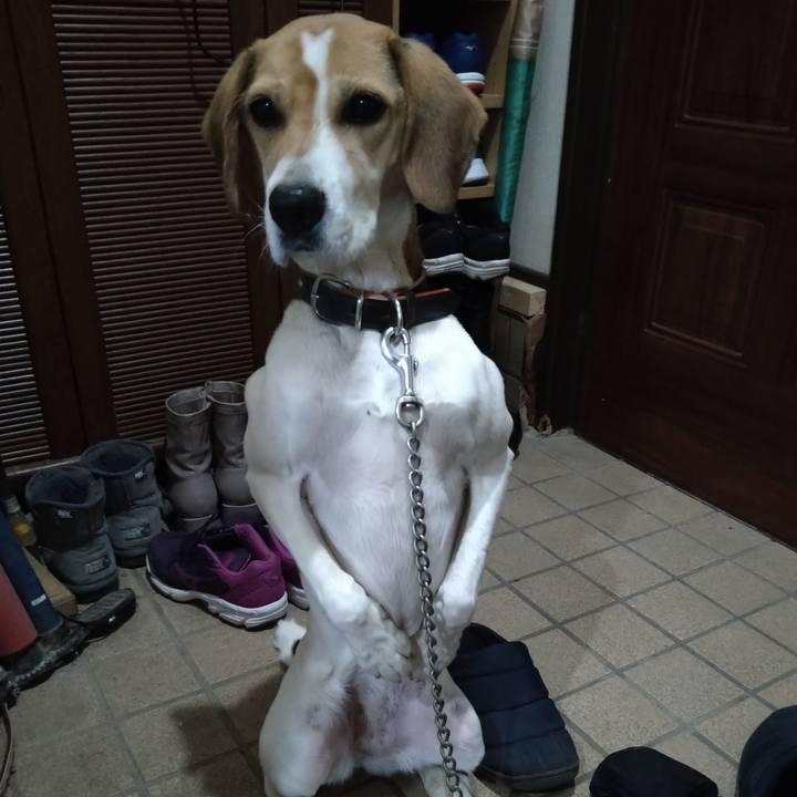 D1dfd97c 6033 45f9 9b68 83f48dc048d5 1639994461669