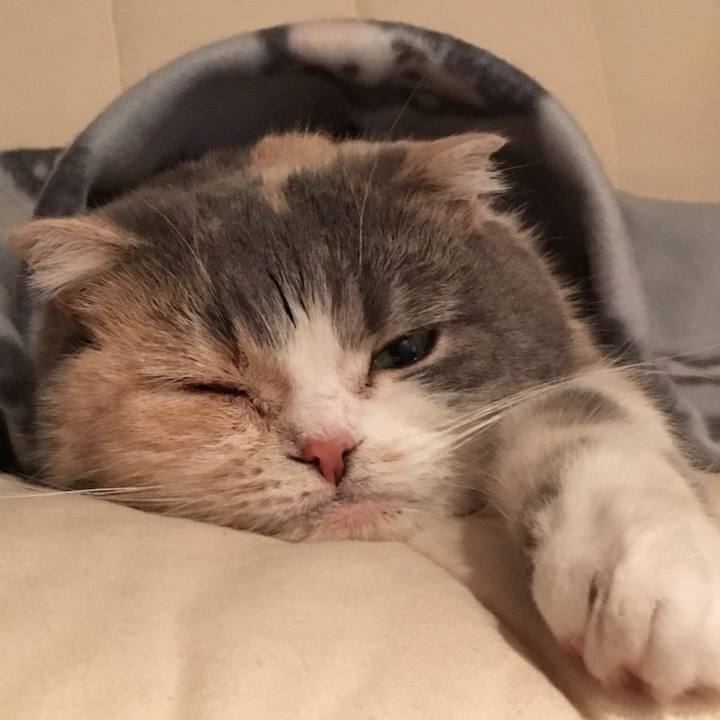 D1dfe3e6 6ea4 48cf ad58 6bfd039c897b 1549796520498