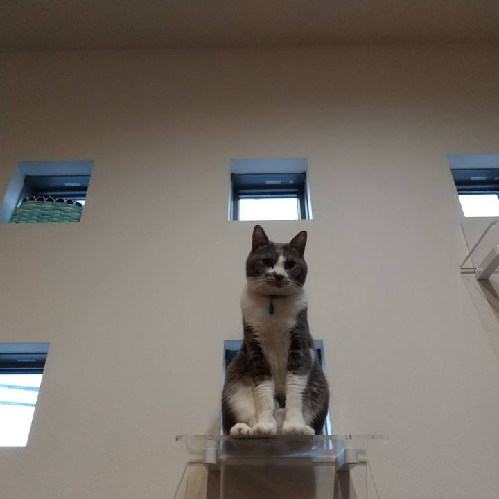 D1dff620 c4fb 4893 b5a8 158ed965958b 1642983348515