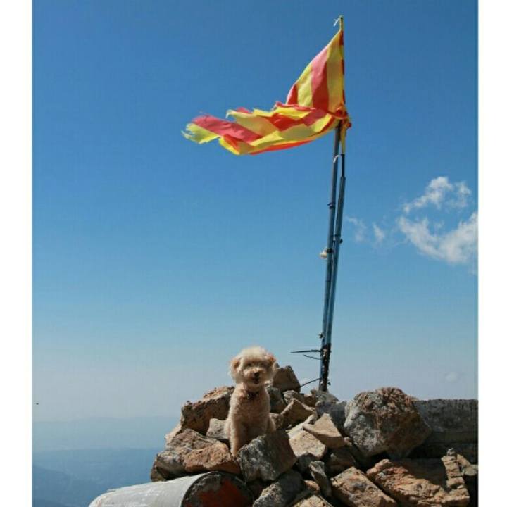 D1e03aa5 5c65 4f75 8da3 49ad94dfaeb2 1566178795279