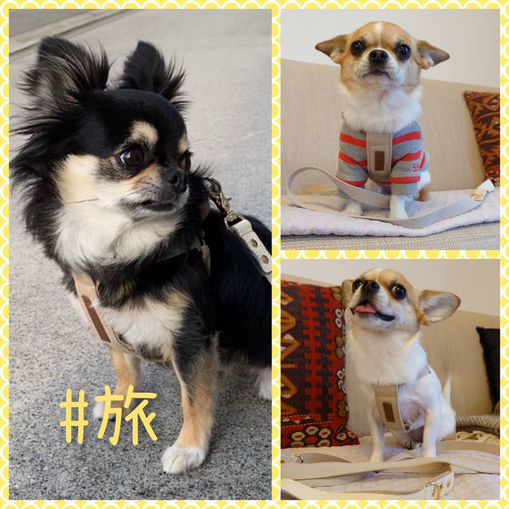 D1e063f7 bf2a 4eb3 aceb 1d47524f5565 1645433328250