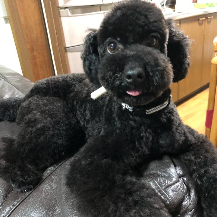 D1e0993b 7cb2 44b9 b678 bd8c07dd66d4 1525047891126