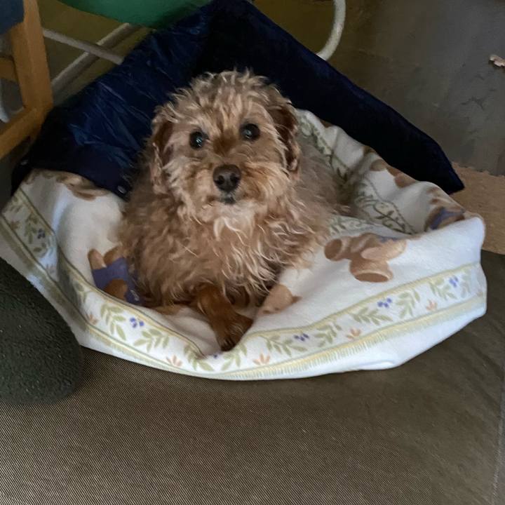 D1e10892 65ee 403a bdda 0a79c4a42b11 1674880407730