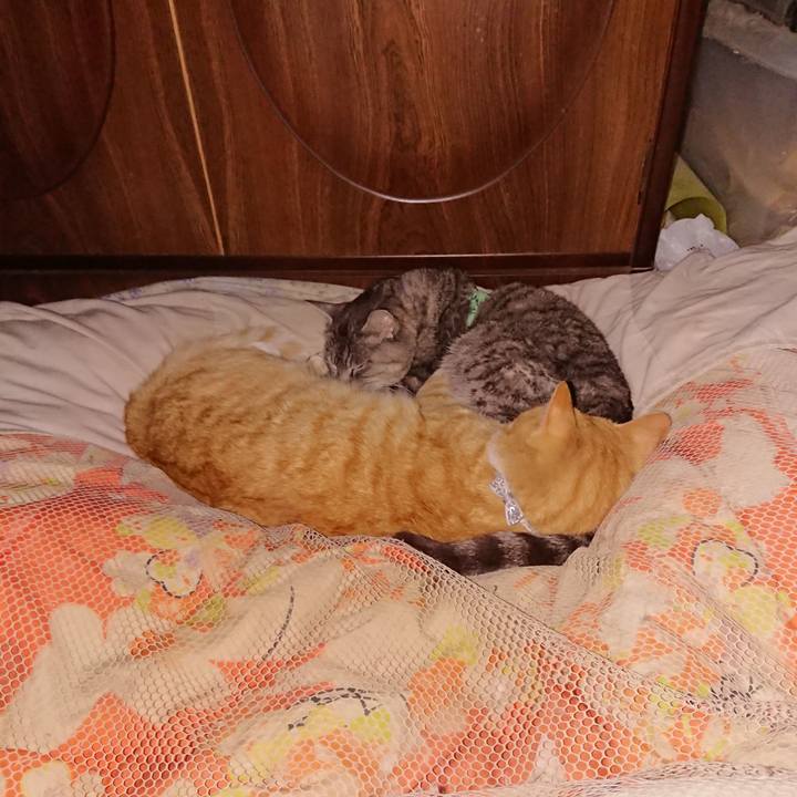 D1e113ed 7b8c 4c6d 9f8d a16a17100b94 1587140722170