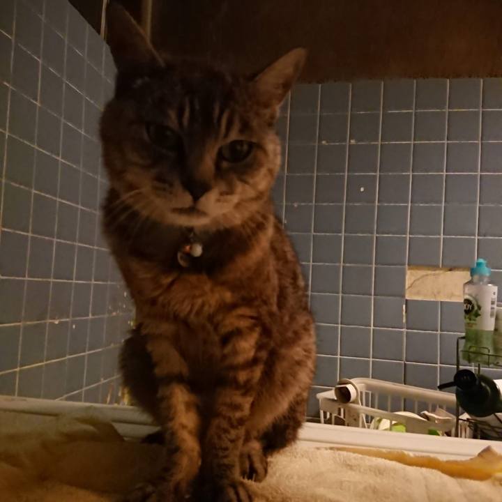 D1e11dd3 18d4 460f 8326 cd9bae118274 1630577978557