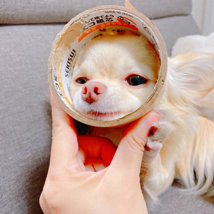 D1e139d5 629c 4732 887f b81ef65eee3e 1637416283942