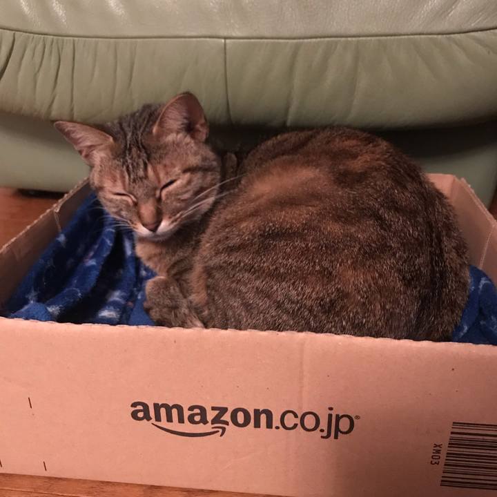 D1e13f00 304a 49b7 aee2 060f9904e5eb 1586762853094