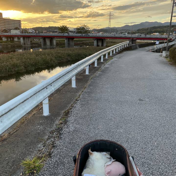 D1e15454 c915 41cb b3d4 c181c7bf58c4 1669283611360