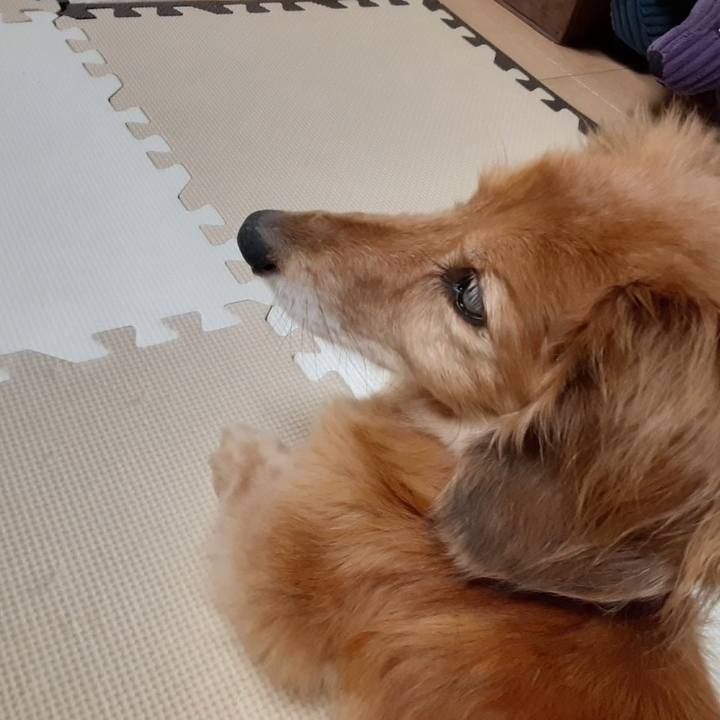 D1e17247 e9e1 4cf9 930b 3f981eb93b06 1657978886155