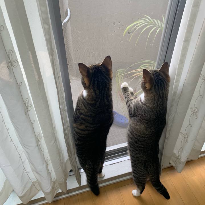 D1e1792a 76d6 4b1d b2fa 4f0b5890574a 1544400474903