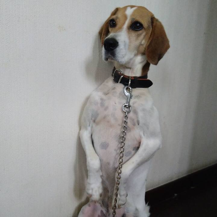 D1e191f0 583a 49ba 8360 8d95ef5af2d2 1662692510279