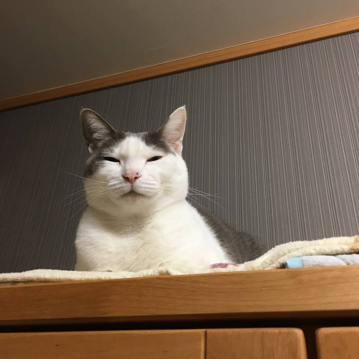 D1e19dea 4135 4dea a22a 32c8cb1ea835 1523329485705