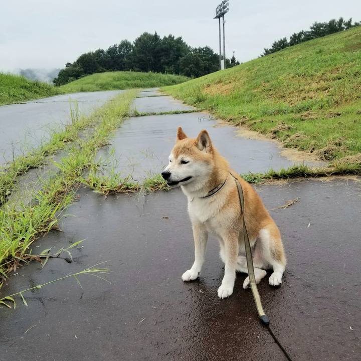 D1e1a81e 3862 46ef 9d58 18d2faa1e2d7 1660717878436