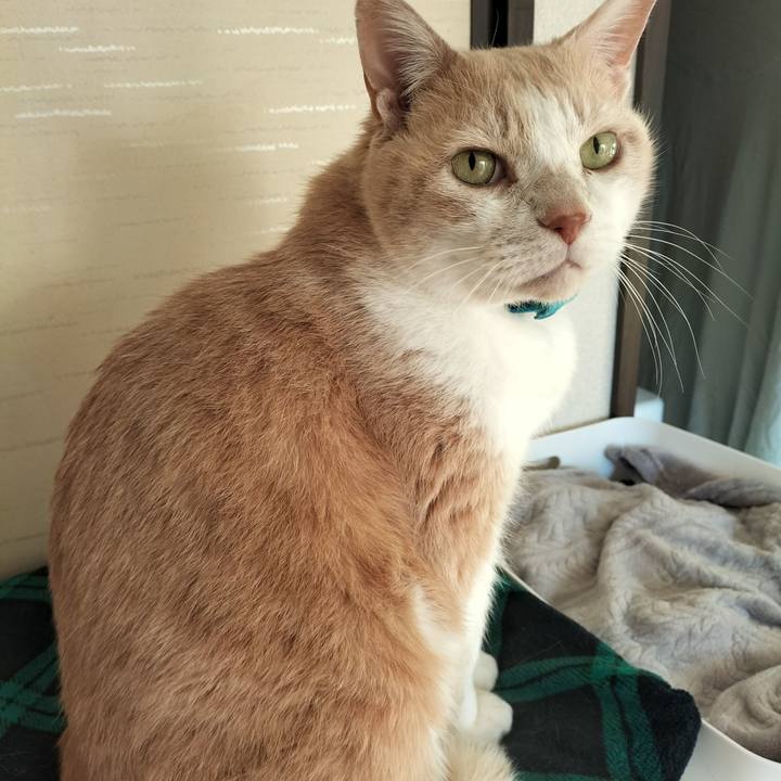 D1e1ed3e 3ba0 4ef2 9cdf 11a839ff2ef5 1642719645382