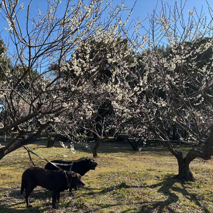 D1e1f649 9af2 4285 8727 9cd780489c2f 1772365576573