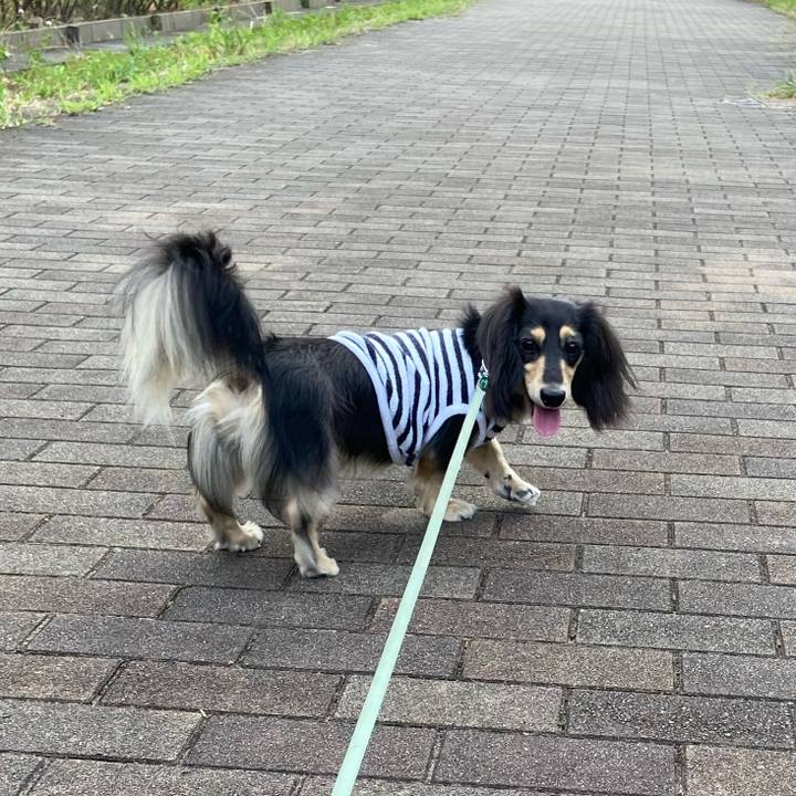 D1e2addb d9d1 415d a8f5 075306827e31 1723724907059