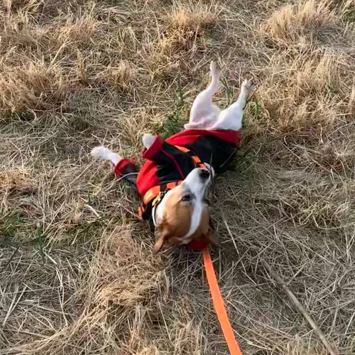 D1e2c8a3 d824 4c22 8de8 63175260c31d 1577776279285