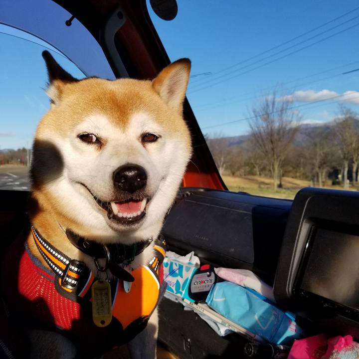 D1e2ca43 a692 4200 8e56 f215a0b9a3a6 1607496744196