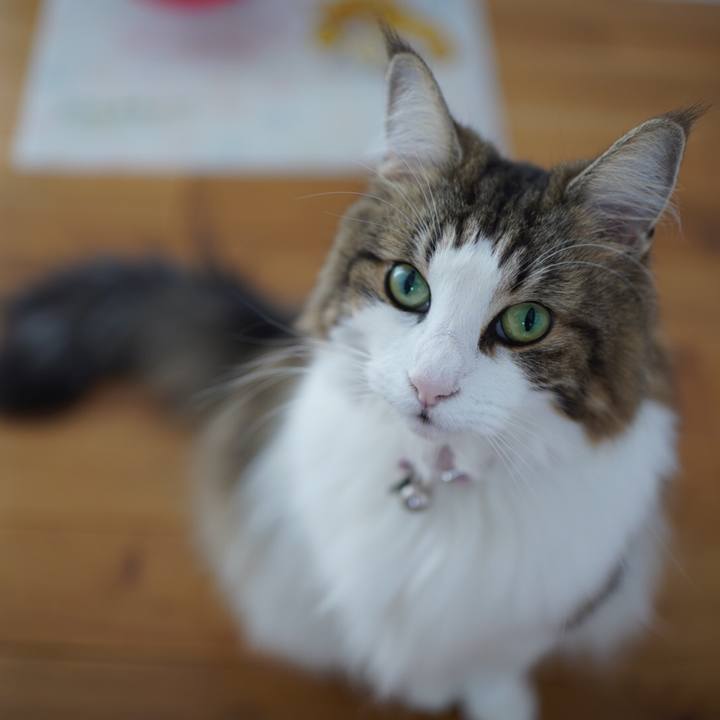 D1e2d2fd a387 41e7 a032 acc4be612857 1630718500724