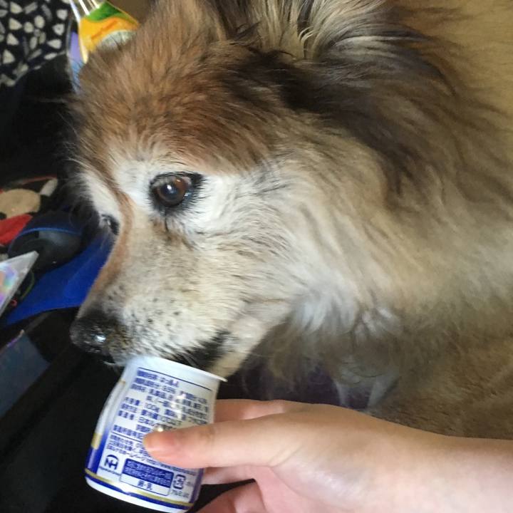 D1e2ddac cf4b 44b6 bf5a d20d617bc27e 1607262853621