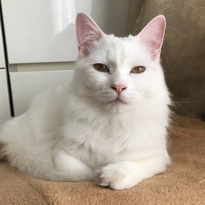 D1e349a3 1f03 4bd6 ae92 3b76c4b5f52e 1524110897839